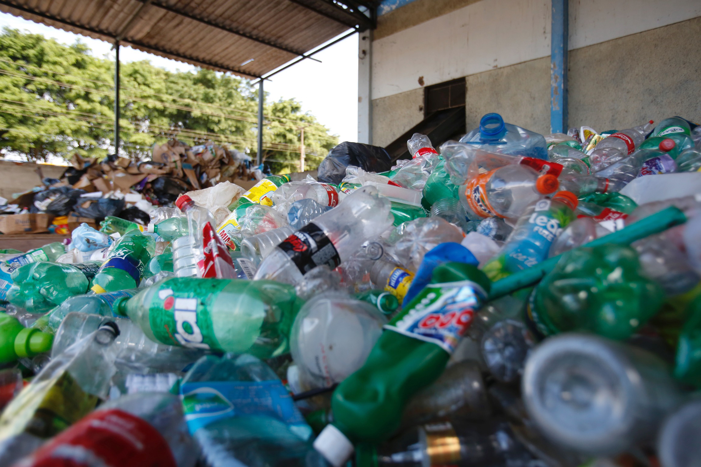 Reciclagem do plastico, perigo eminente