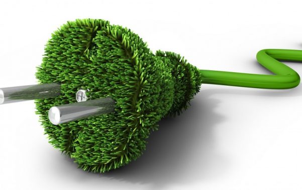Energia verde e a Biomassa